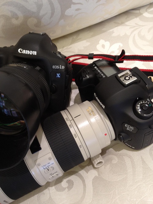 Canon-EOS-5d3-1dx-cameras.jpeg