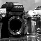 Permalink to Olympus ensures again that they are committed to DSLR cameras Olympus DSLR camera