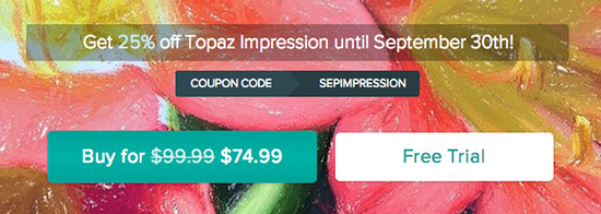 Topaz-Impression-coupon-discount-sale