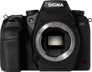 Guest post: Sigma SD1 update - Photo Rumors