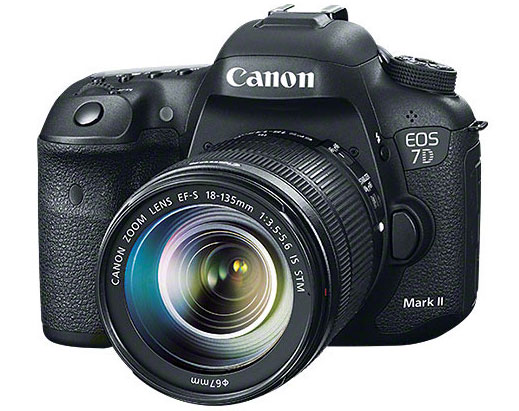 Canon EOS 7D Mark II camera, EF 24–105mm f/3.5–5.6 IS STM, EF