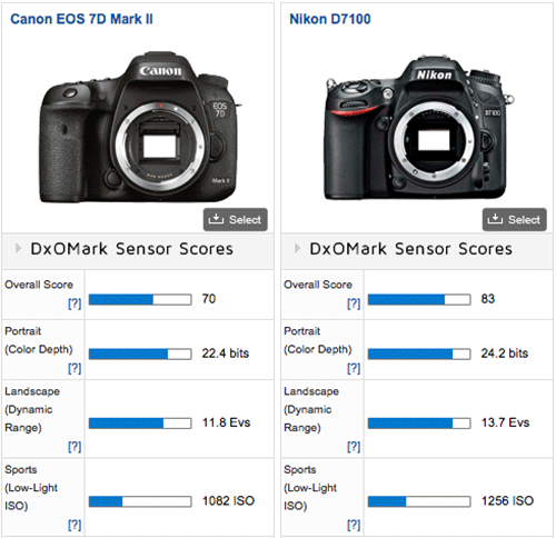 Canon-7D-Mark-II-vs-Nikon-D7100