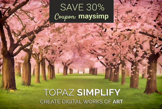 topaz simplify four