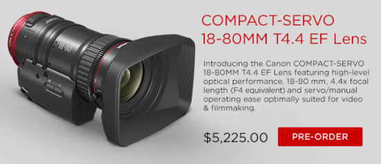Canon Compact-Servo 18-80mm T4.4 EF Lens