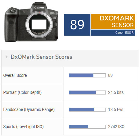 Real Life Comparison of the Sony a7R III, the Nikon Z 7, and the Canon EOS  R