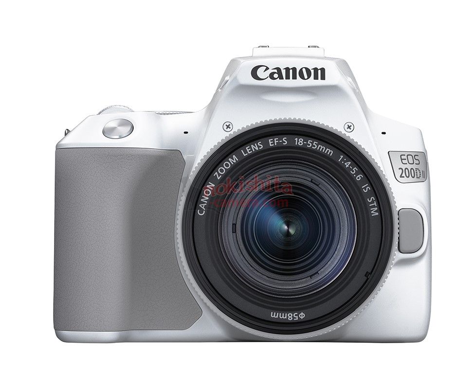 Canon EOS 250D specifications