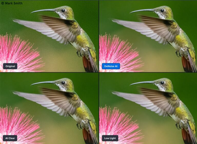 Topaz Labs Denoise Ai Version Is Out And Is Currently On Sale