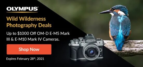 the-latest-rebates-from-olympus-sony-and-nikon-photo-rumors
