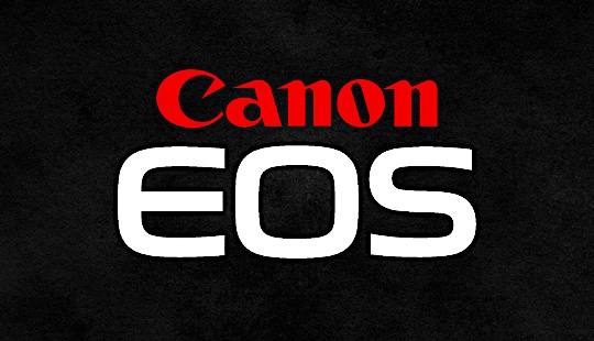 Canon Logo | Canon global