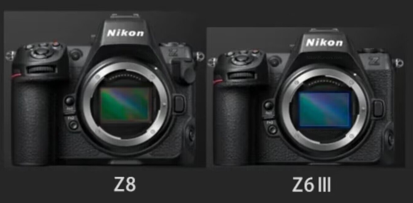 the specs, rumors, and release date for the Nikon Z6 III