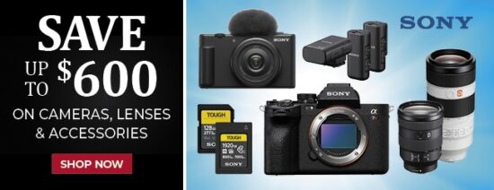 The best-selling cameras in the top 5 Japanese stores (March 2024)